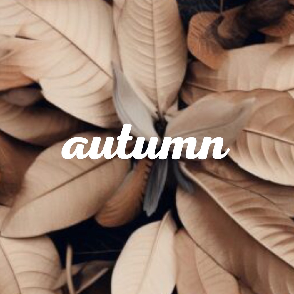 Autumn Essentials 🍂